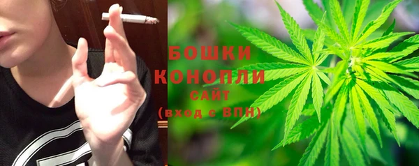 метадон Вяземский